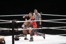 WWE-Zuerich-2019-11-13-Bodensee-Community-SEECHAT_DE-_325_.JPG