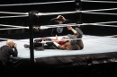 WWE-Zuerich-2019-11-13-Bodensee-Community-SEECHAT_DE-_327_.JPG