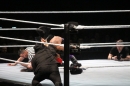 WWE-Zuerich-2019-11-13-Bodensee-Community-SEECHAT_DE-_348_.JPG