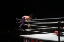 WWE-Zuerich-2019-11-13-Bodensee-Community-SEECHAT_DE-_349_.JPG