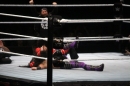 WWE-Zuerich-2019-11-13-Bodensee-Community-SEECHAT_DE-_352_.JPG