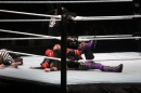 WWE-Zuerich-2019-11-13-Bodensee-Community-SEECHAT_DE-_353_.JPG