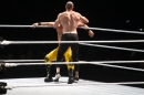 WWE-Zuerich-2019-11-13-Bodensee-Community-SEECHAT_DE-_383_.JPG