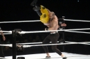 WWE-Zuerich-2019-11-13-Bodensee-Community-SEECHAT_DE-_403_.JPG