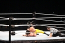 WWE-Zuerich-2019-11-13-Bodensee-Community-SEECHAT_DE-_437_.JPG