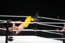 WWE-Zuerich-2019-11-13-Bodensee-Community-SEECHAT_DE-_445_.JPG