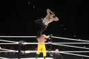 WWE-Zuerich-2019-11-13-Bodensee-Community-SEECHAT_DE-_448_.JPG