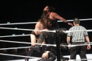 WWE-Zuerich-2019-11-13-Bodensee-Community-SEECHAT_DE-_47_.JPG