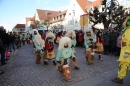 Narrensprung-Langenargen-190120-Bodensee-Community-SEECHAT_DE-_121_.JPG