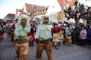 Narrensprung-Langenargen-190120-Bodensee-Community-SEECHAT_DE-_126_.JPG