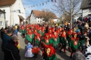 Jubilaeumsumzug-Liggersdorf-160220-Bodenseecommunity-seechat_de-DSC03245.jpg