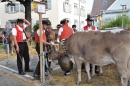 Viehschau-Herisau-Bodensee-Community-seechat-2021-_42_.jpg