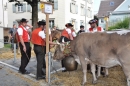 Viehschau-Herisau-Bodensee-Community-seechat-2021-_43_.jpg