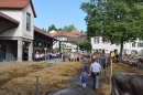 Viehschau-Herisau-Bodensee-Community-seechat-2021-_79_.jpg