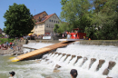 Mammut-Flossrennen-Thur-2022-5-15-Bodensee-Community-SEECHAT_DE-IMG_1844.JPG