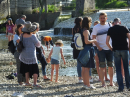 Flohmarkt-Riedlingen-2022-05-21-Bodensee-Community-SEECHAT_DE-_254_.JPG