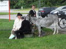 Theatersommer-2022-Riedlingen-Bodensee-Community-SEECHAT_DE-_224_.JPG