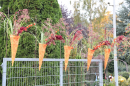 Mittelaltermarkt-Weingarten-081022-Bodensee-Community-SEECHAT_DE-3H4A1965.JPG