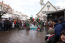 Narrenumzug-Langenargen-22012023-Bodenseecommunity-seechat_de-095.jpg