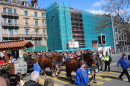 Sechselaeuten-Umzug-Fest-Bodensee-Community-SEECHAT_DE-2023-04-17-IMG_5543.jpg