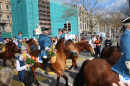 Sechselaeuten-Umzug-Fest-Bodensee-Community-SEECHAT_DE-2023-04-17-IMG_5673.jpg