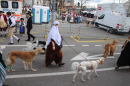 Sechselaeuten-Umzug-Fest-Bodensee-Community-SEECHAT_DE-2023-04-17-IMG_5726.jpg