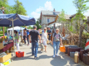 ZWIEFALTENDORF-Flohmarkt-Bodensee-Community-SEECHAT-2023-_44_.JPG