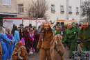 Narrenumzug-Langenargen-14012024-Bodenseecommunity-seechat_de-083.jpg