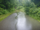 Hochwasser-Ravensburg-Weingarten-2024-Bodensee-Community-SEECHAT_DE-P1070463.JPG