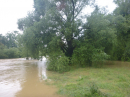 Hochwasser-Ravensburg-Weingarten-2024-Bodensee-Community-SEECHAT_DE-P1070477.JPG