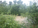 Hochwasser-Ravensburg-Weingarten-2024-Bodensee-Community-SEECHAT_DE-P1070488.JPG