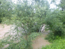 Hochwasser-Ravensburg-Weingarten-2024-Bodensee-Community-SEECHAT_DE-P1070489.JPG