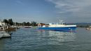 Boot-Segnung-Wasserburg-2024-BodenseeCommunity-SEECHAT_DE-IMG_9438.jpg