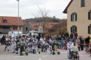 Fasnachtsumzug-Wiesendangen-2025-Bodensee-Community-SEECHAT_DE-IMG_5191.JPG