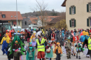 xFasnachtsumzug-Wiesendangen-2025-Bodensee-Community-SEECHAT_DE-IMG_5151.JPG