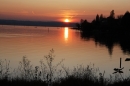 Immenstaad-am-Bodensee-Sonnenuntergang-07_11_2008-seechat_de-IMG_1982.JPG