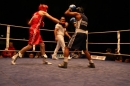 Fight-Night-Dornbirn-290808-seechat_de-Die-Bodensee-Community-IMG_9328.JPG