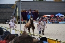 Hengstparade-Marbach-2008-031008-seechat_de-IMG_1589.JPG