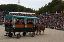 Hengstparade-Marbach-2008-031008-seechat_de-IMG_1662.JPG