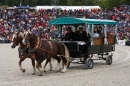 Hengstparade-Marbach-2008-031008-seechat_de-IMG_1665.JPG