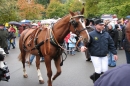 Hengstparade-Marbach-2008-031008-seechat_de-IMG_7053.JPG