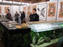 Aqua-Fisch-Messe-Friedrichshafen-070309-seechat_de-IMG_7318.JPG