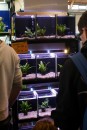 Aqua_Fisch_messe_Fridrichshafen_Seechat_de_Michael_WohlfarthDSC09662.JPG