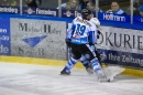 Wild-Wings-Villingen-vs-Dresdner-Loewen-Furtwangen-261209-seechat_de-_13.jpg