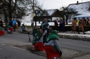 Faschingsumzug-Oberteuringen-2010-230110-Bodensee-Community-seechat_de-DSC_0211.JPG