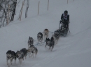 Schlittenhunderennen-Todtmoos-20100131-Bodensee-Community-seechat_de-IMG_8537.JPG