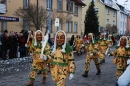 Narrensprung-Friedrichshafen-130210-Die-Bodensee-Community-seechat_de-_201.JPG