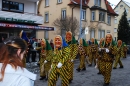 Narrensprung-Friedrichshafen-130210-Die-Bodensee-Community-seechat_de-_205.JPG