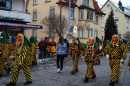 Narrensprung-Friedrichshafen-130210-Die-Bodensee-Community-seechat_de-_206.JPG