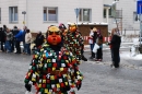 Narrensprung-Friedrichshafen-130210-Die-Bodensee-Community-seechat_de-_86.JPG